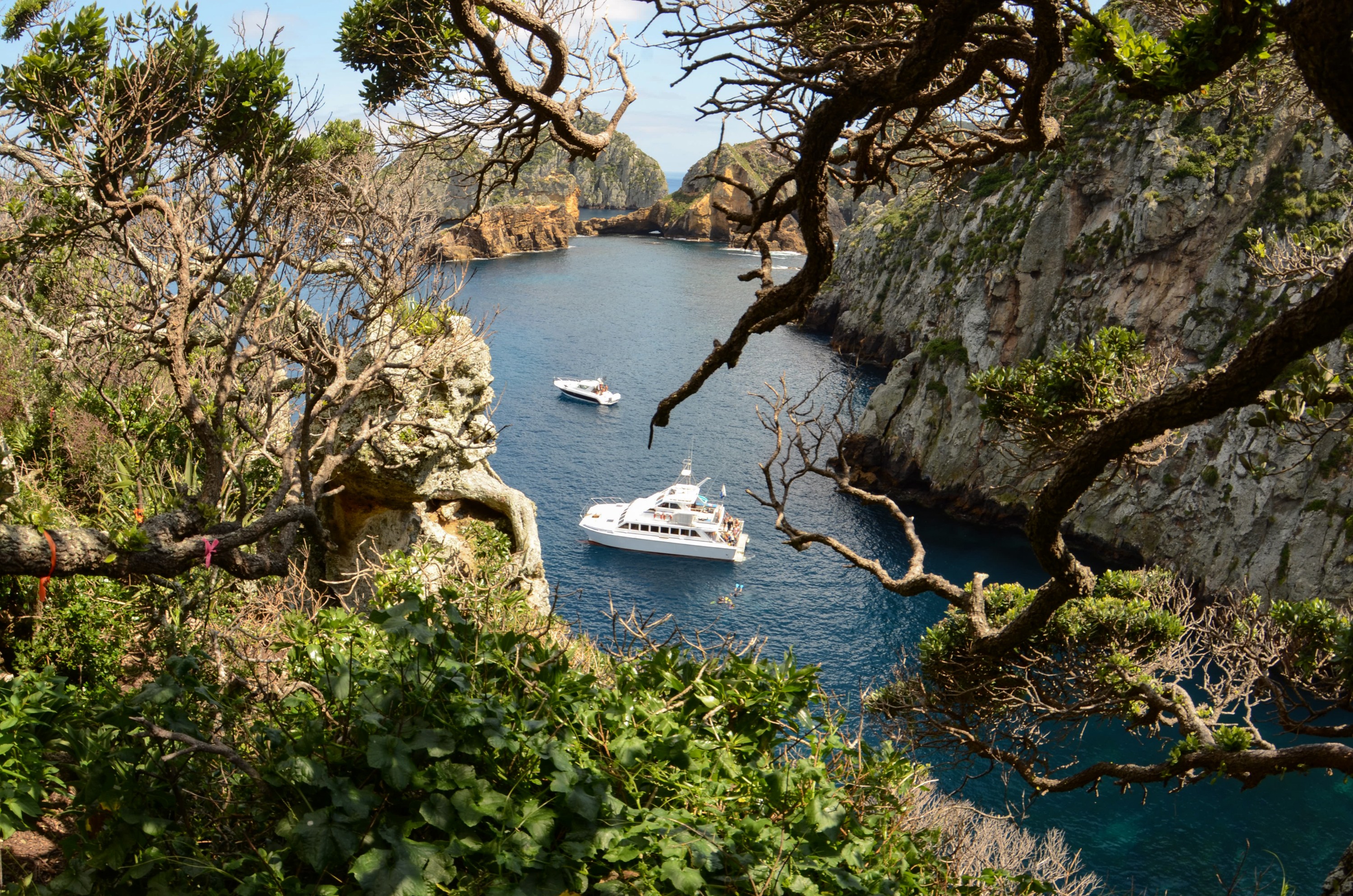 DSC_9888 – Crispin, doc, hideaway, knights, marine, new, nz, pacific, poor, reserve, zealand